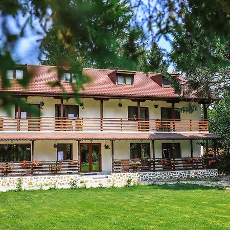 Pensiunea Vinatur Porumbacu de Sus Exterior photo
