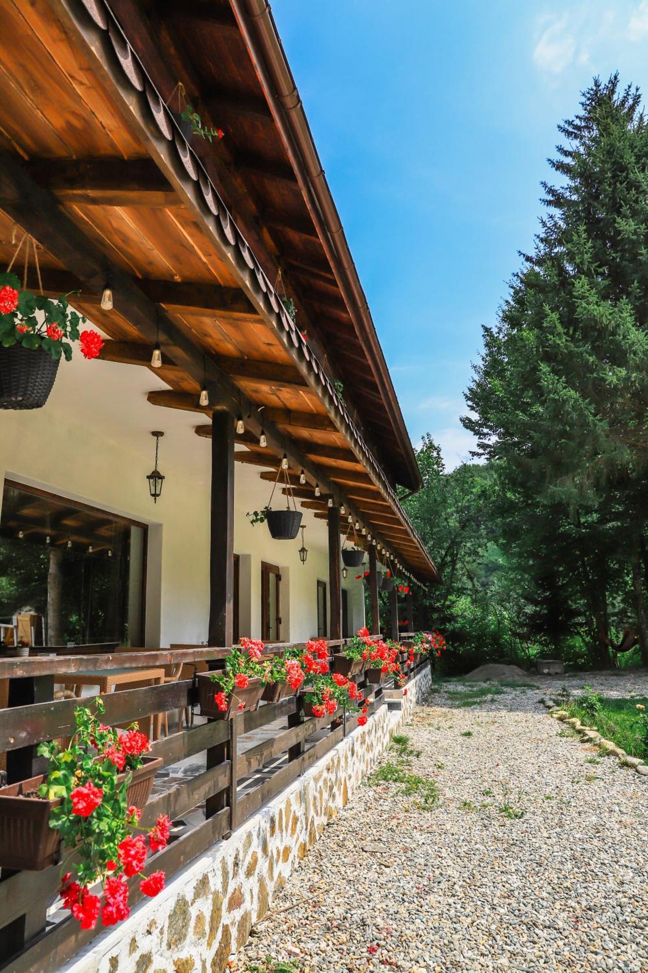 Pensiunea Vinatur Porumbacu de Sus Exterior photo